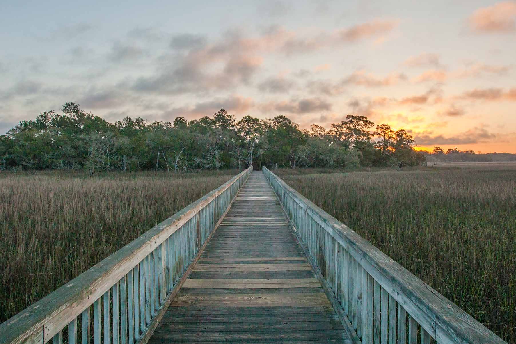 Present-day boardwalk imagery from the community book